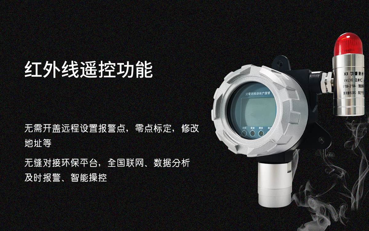 可燃?xì)怏w檢測儀